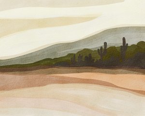 Saguaro Desert Hills