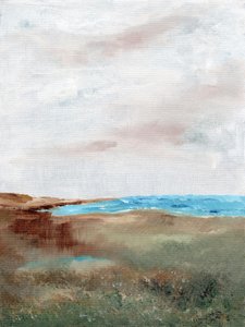 Rustig strandlandschap