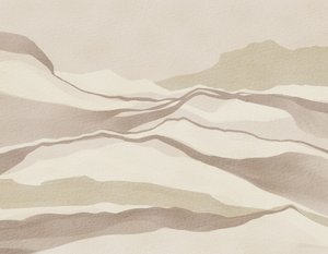 Rustige woestijnduinen door Nikita Jariwala