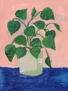 Kleurrijke kamerplant in pot door Nikita Jariwala
