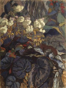 Bloemen, 1911
