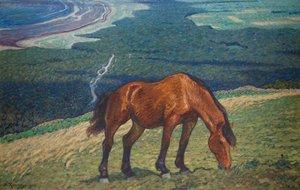 Grazen Paard