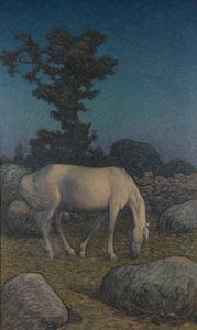 Wit paard in de schemering