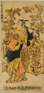 Bloemenverkoper van de Vier Seizoenen - Een Set van Drie (Shiki no hanauri sanpukutsui) door Nishimura Shigenobu