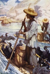 China: Vissen met aalscholvers door Norman Hardy