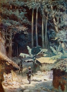 In de diepten van een Melanesisch bos, 1908 door Norman Hardy