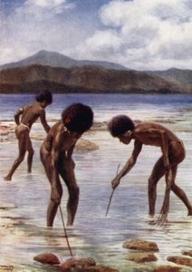 Zoeken naar kleine octopussen op het rif bij eb, Samari, Brits Nieuw-Guinea
