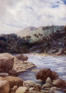 De stroomversnellingen, Williams River, eiland Eromanga, Nieuwe Hebriden