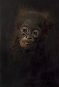 Baby orang-oetan 1, 2009 (acryl op hout)