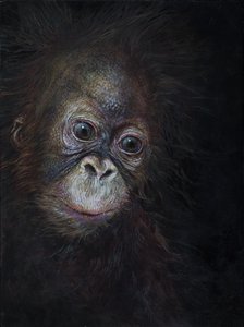 Baby orang-oetan 3, 2015 (acryl op hout)