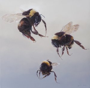 Bombus vlucht 1, 2011 (acryl op hout) door Odile Kidd