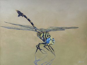 Drakenvlieg, 2009 (acryl op hout)