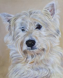 Hamish, 2011 (acryl op hout)