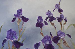 Iris hybrida (detail), 2015 (acryl op gegessuurd hout)