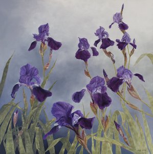 Iris hybrida, 2015 (acryl op gegessuurd hout)