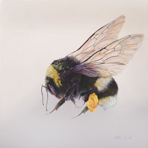 Stuifmeelzak 2, 2011 (acryl op hout) door Odile Kidd