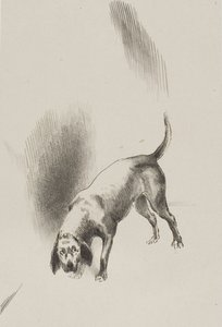 Hij [de hond van de verteller] hield zijn ogen op mij gericht met zo