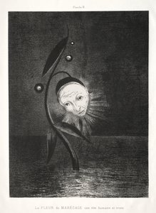 Hulde aan Goya: De Moerasbloem, een Triest Menselijk Hoofd, 1885 door Odilon Redon