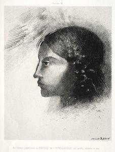 Hulde aan Goya: Bij het ontwaken zag ik de godin van het begrijpelijke, 1885 door Odilon Redon