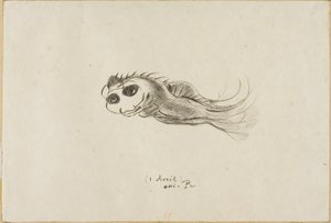 Menu van een diner voor Franse lithografen, 1 april 1887 door Odilon Redon
