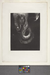 Oannès: "Moi, La Première Conscience Du Chaos..." door Odilon Redon