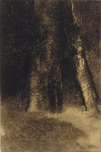 Schets van bomen