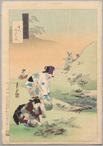 Schoonheden die bracken oogsten, uit de serie Gekkō