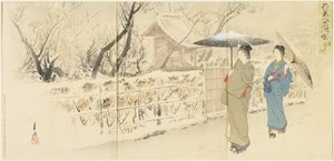 Garyo_bai Pruim in Kameido, december 1895 door Ogata Gekko