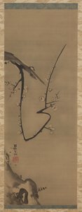 Prunus, hangende rol, ca. 1700
