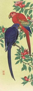 Een rode en een blauwe papegaai, door de Japanse kunstenaar Ohara Koson door Ohara Koson