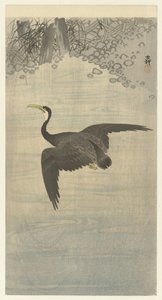 Aalscholver in vlucht door Ohara Koson