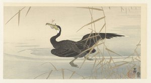 Aalscholver met vis door Ohara Koson