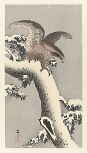 Arend op besneeuwde pijnboom door Ohara Koson