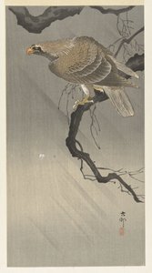 Arend op tak door Ohara Koson