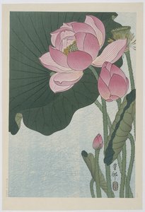 Bloeiende lotusbloemen door Ohara Koson