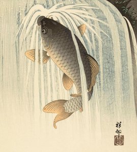 Karpers onder een waterval door Ohara Koson