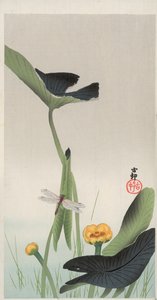 Libelle en lotus door Ohara Koson