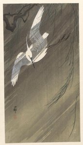Reiger in een storm