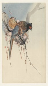 Fazantenkoppel en pruimenbloesem door Ohara Koson