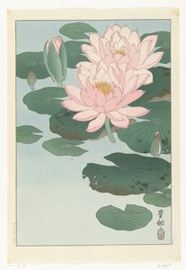 Bloeiende waterlelie door Ohara Koson