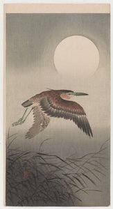 Vliegende reiger en volle maan