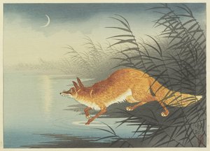 Vos bij het maanverlichte water, jaren 1930