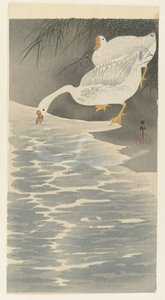Ganzen aan oever door Ohara Koson