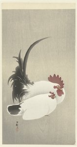 Haan en hen