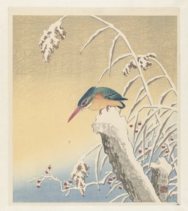 IJsvogel in de sneeuw door Ohara Koson
