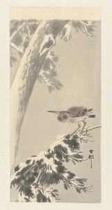 Indische kwak op besneeuwde boomtak door Ohara Koson