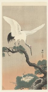 Japanse kraanvogel op tak van pijnboom door Ohara Koson