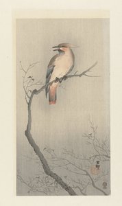 Japanse pestvogel op tak door Ohara Koson