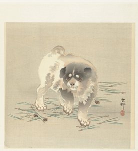 Jonge hond door Ohara Koson