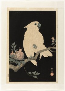 Kaketoe met granaatappel door Ohara Koson